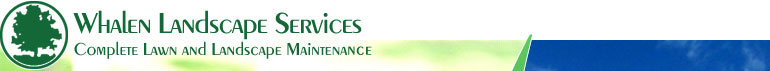 Whalen Landscape Services, Memphis - Logo