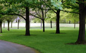 Memphis Lawn Care Memphis Lawn Care