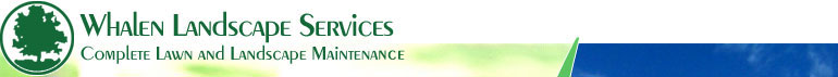 Whalen Landscape Services, Memphis Whalen Landscape Services, Memphis - Logo